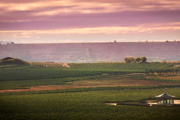 bodegas-vivanco-paisaje